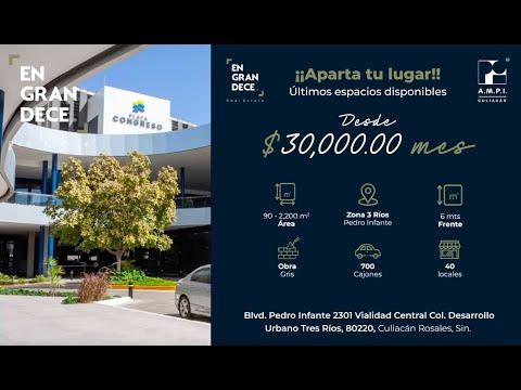 Previsualización del video